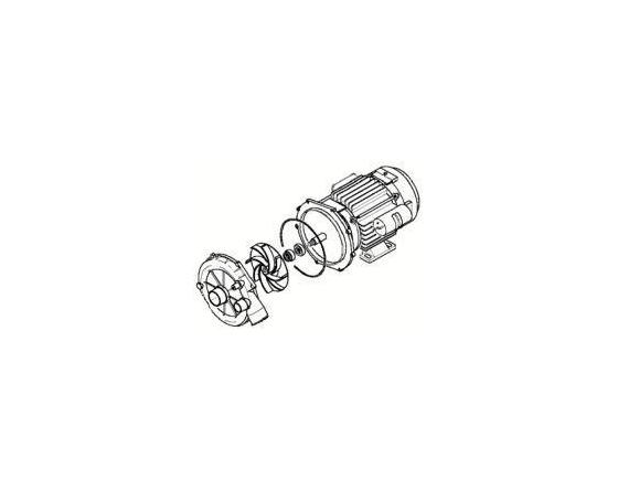 Bomba lavado 230v 1.5hp koral 800 krupps