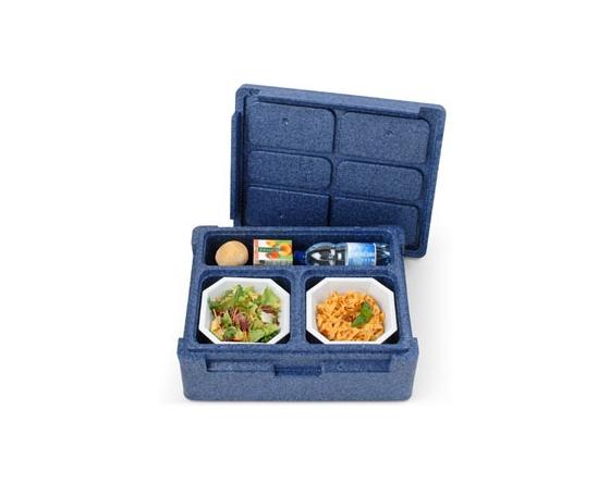 Contenedor isotÉrmico individual thermoking