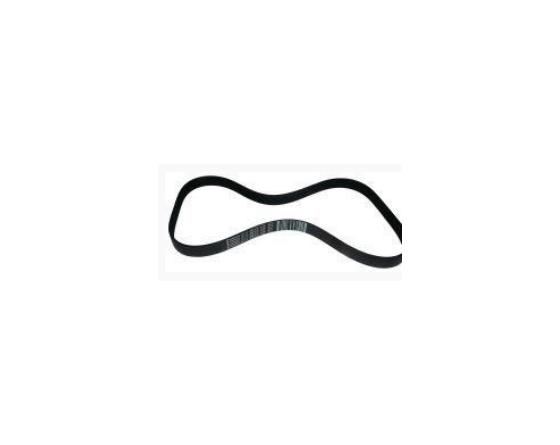 Correa pj 891 7 dientes sammic