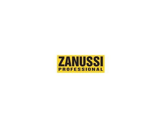 Junta tapa peladora patatas zanussi