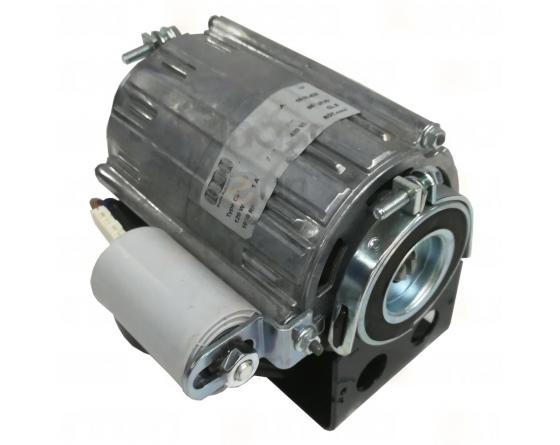 MOTOR PARA BOMBA 230V RUBY PRO 1/2GR