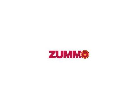 Muelle leva plato tolva zummo z08a