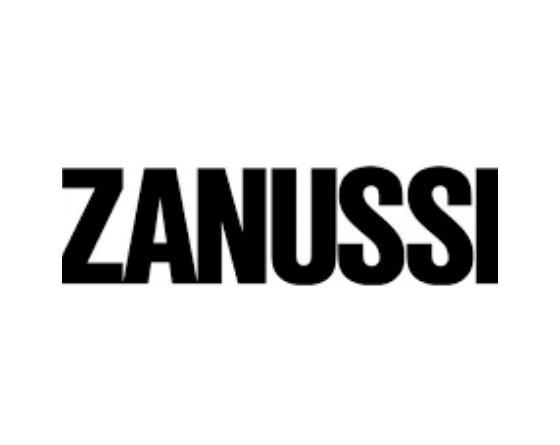 Muelle tapa Ø29x310mm zanussi