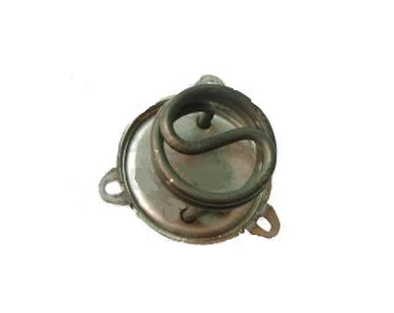 Resistencia 1000w 230v europiccola