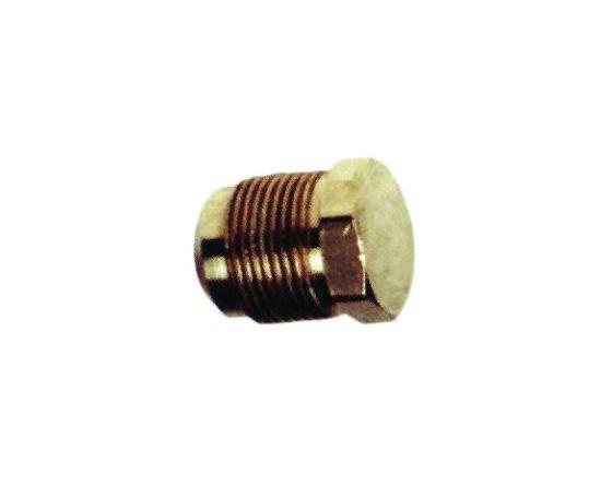 Tapon rtm-1 sae-m1/4