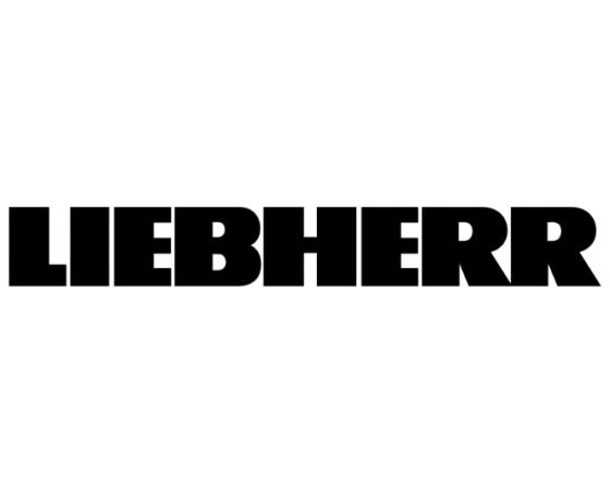 Tornillo alomado chapa (2 unidades) liebherr
