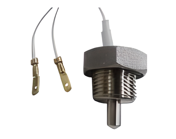 Sonda Temperatura Ntc Seletron Plus