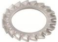 Arandela dentada inox. m8 din-6798 jemi