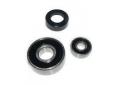 Conjunto cojinetes triturador mp robot coupe