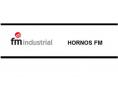Cristal exterior horno f-106  (modelo 2014) fm