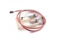 Sensor espesor hielo 850mm icematic