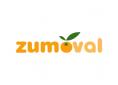Soporte carÁtula exprimidor zumoval minimax