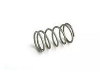 Muelle Tapon Rancilio