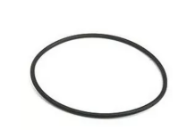 Junta Torica Hoonved