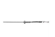 Sonda Horno Temperatura 2600mm Rational