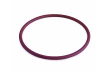 Junta Resistencia Horno Rational