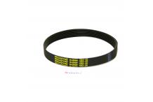 Correa cortadora 483-j 8 dientes ca-300 sammic