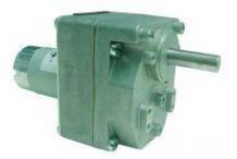 Motor asador de pollos 12v feca