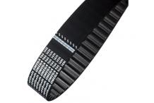 Correa Dentada 180 Xl  Sammic, Zummo