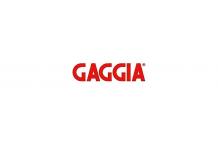 Panel trasero gris 2 grupos g6 GAGGIA