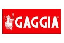 Pegatina botonera superior 2gr vetro gaggia