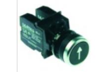 Pulsador negro flecha Ø22mm alpeninox