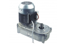 Motorreductor FIR 220-240V 50/60Hz 1350/1650rev/min MANITOWOC