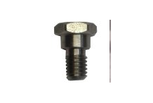 Tornillo Bisagra 1000-1300-1300S silanos