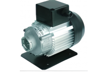 Motor Para Bomba Abrazadera 230V 50/60Hz 300W